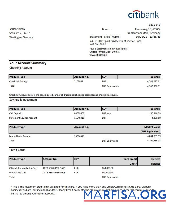 Printable Germany Citibank bank account statement template in Excel and PDF format